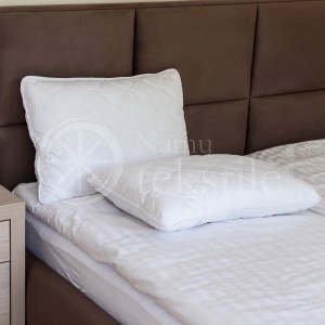 Pillow 50X70 Natural Classic 